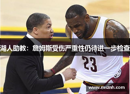 湖人助教：詹姆斯受伤严重性仍待进一步检查