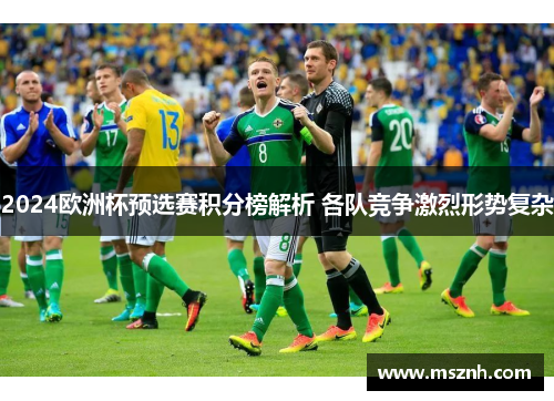 2024欧洲杯预选赛积分榜解析 各队竞争激烈形势复杂