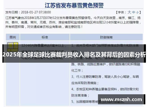 2025年全球足球比赛裁判员收入排名及其背后的因素分析