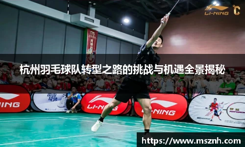 杭州羽毛球队转型之路的挑战与机遇全景揭秘