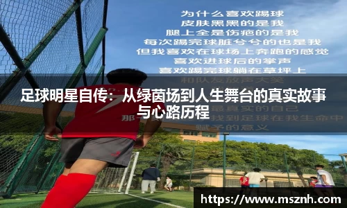 熊猫体育中国官网