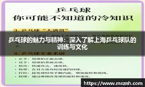 乒乓球的魅力与精神：深入了解上海乒乓球队的训练与文化