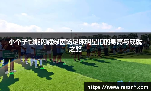小个子也能闪耀绿茵场足球明星们的身高与成就之路