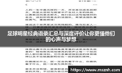 熊猫体育中国官网